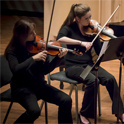 String Quartet