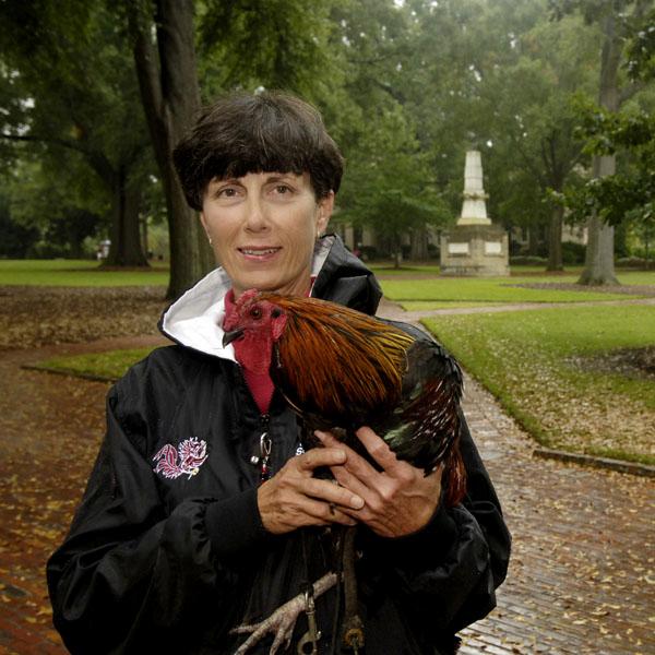 Read the March issue of the Gamecock CONnection