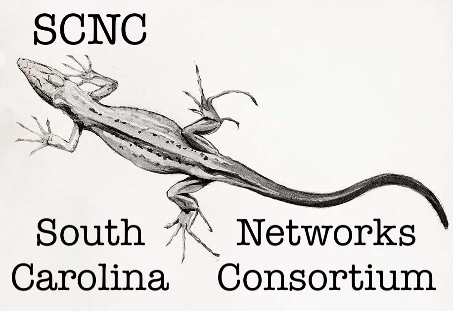 picture of a lizard reads South Carolina Networks Consortium (SCNC) 