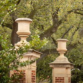 Beige columns in between trees