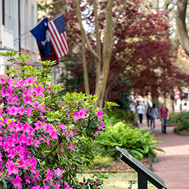 An American flag and SC flag hang behind bright pink flowers out the President's house