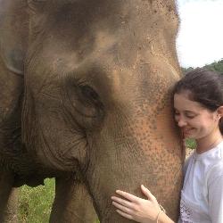 Steiner volunteered at a sanctuary in Thailand that shelters elephants once abused in commercial activities.