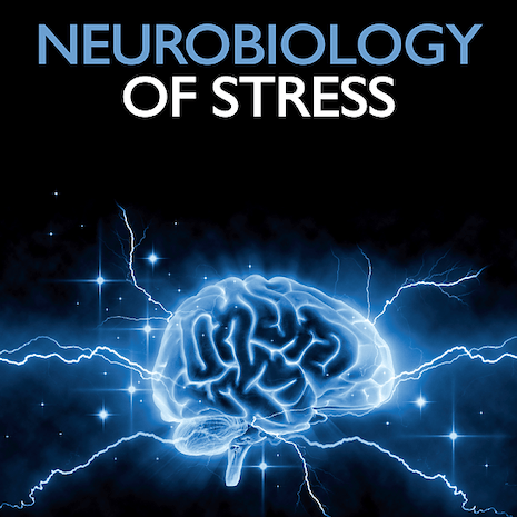 Neurobiology of Stress graphic with a brain and neurons under the text