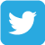 Blue twitter bird icon