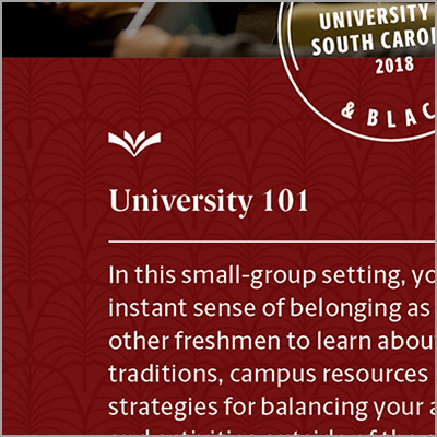 An example of a small white ornament on a document titled University 101 over a garnet background.