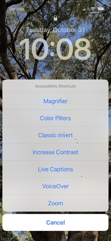 A screenshot of the iPhone accessibility shortcut menu. The accessibility features include Magnifier, Color Filters, Classic Invert, Increase Contrast, Live Captions, VoiceOver, and Zoom.