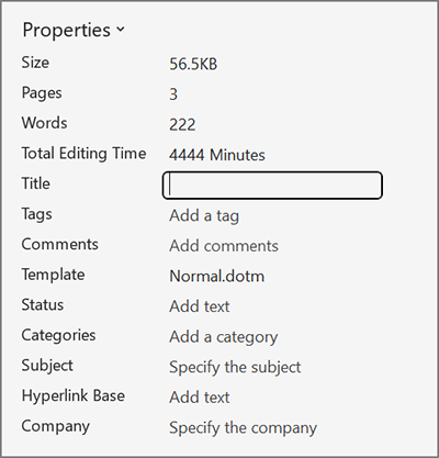 Screenshot of the Properties in Word for Windows. The Title field is focused with a typing indicator.