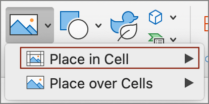 A screenshot of the Pictures dropdown menu in Excel. Place in Cell is the first option, highlighted with a garnet box, and Place over Cells is the second option.