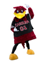 Image of Cocky, UofSC's mascot