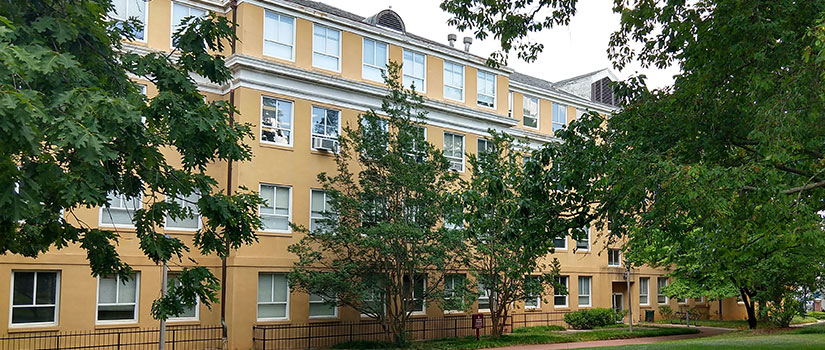 LeConte College through the trees on Gibbes Green