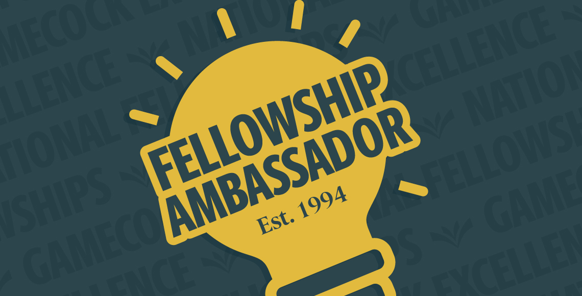 Yellow lightbulb graphic with text inside that reads, "Fellowship Ambassador."