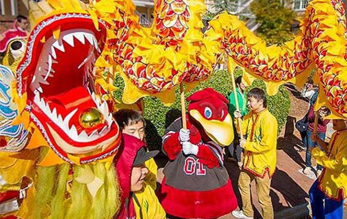 University mascot Cocky at international festivity