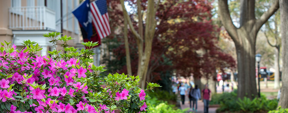 Flowers on the University of South Carolina campus
