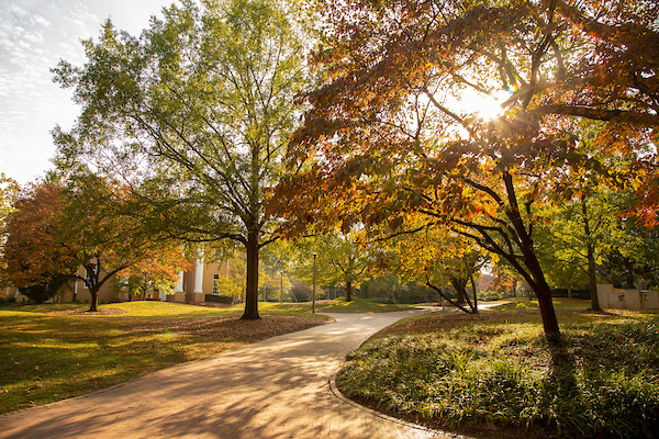 campus path with autumn leaves