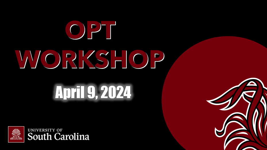 OPT Online Workshop