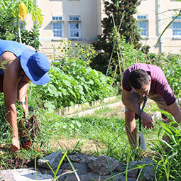 A few individuals working in the community garden