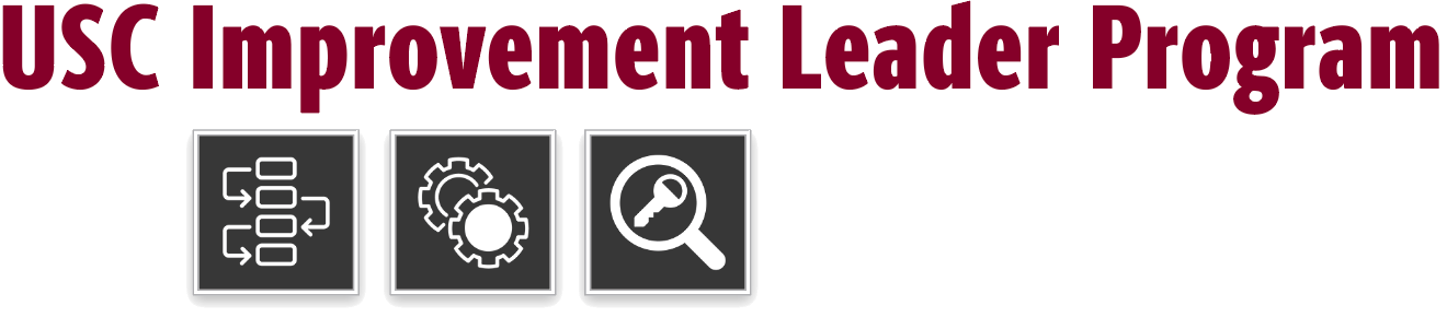 USC Improvement Leader Program