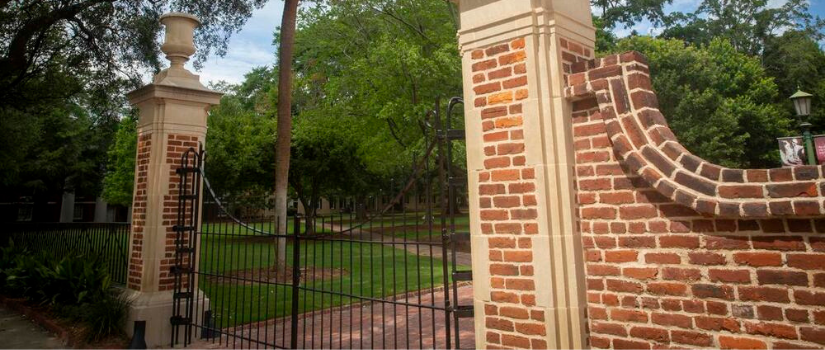 banner image of horseshoe gates