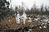 Researchers wear protective gear in Ukraine's Red Forest as they examine lingering effects of the Chernobyl meltdown.