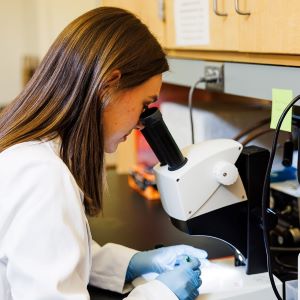 Student researcher Lauren Turner looks into a microscope in Melissa Nolan's lab.