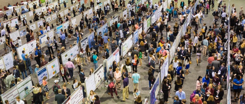 Overhead image of scores of researchers presenting posters at Discover UofSC, a signature program of the Office of the Vice President for Research.