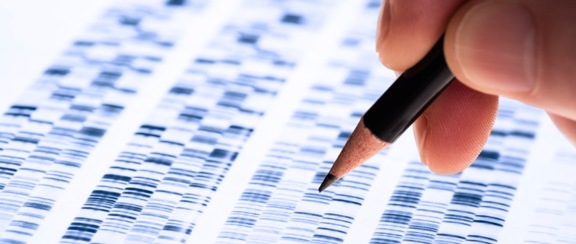 A photo of a human hand holding a pencil to mark up black-and-white transparencies displaying dna sequences.