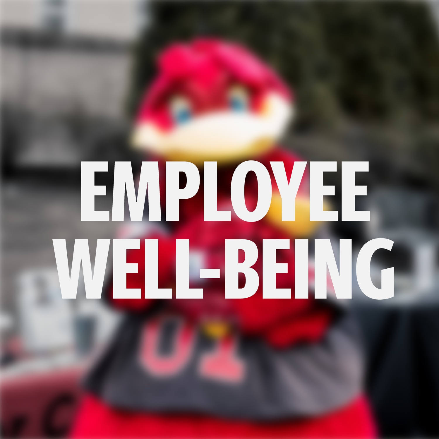 Employee Well-Being
