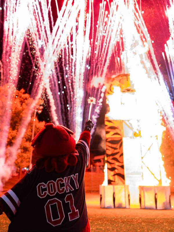 A costumed Cocky mascot wearing a jersey with its name and the number 01 raises a wand toward a towering tiger-shaped structure engulfed in flames as red and white fireworks burst in the night sky.