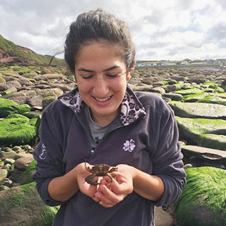 Marine science student holding crab on United Kingdom coast