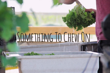 Something to Chew On title image of person cleaning produce