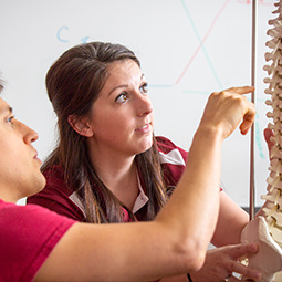 students analyzing a spine structure