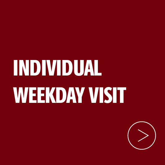 Garnet box with text that says individual weekday visit