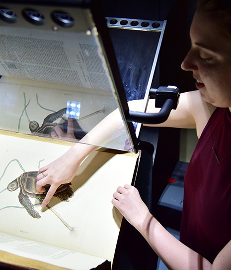 Woman scanning an image of a crab in a historic book on a digital scanner