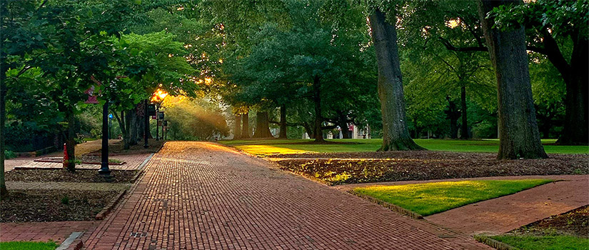 Beautiful lush green trees surrounding a brick path with sunshine shining down on it in the distance.