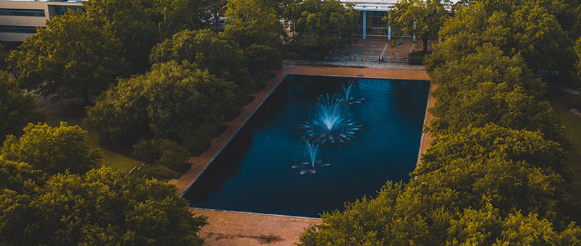 Thomas Cooper Reflecting pool from an areal view surrounded by green trees. 