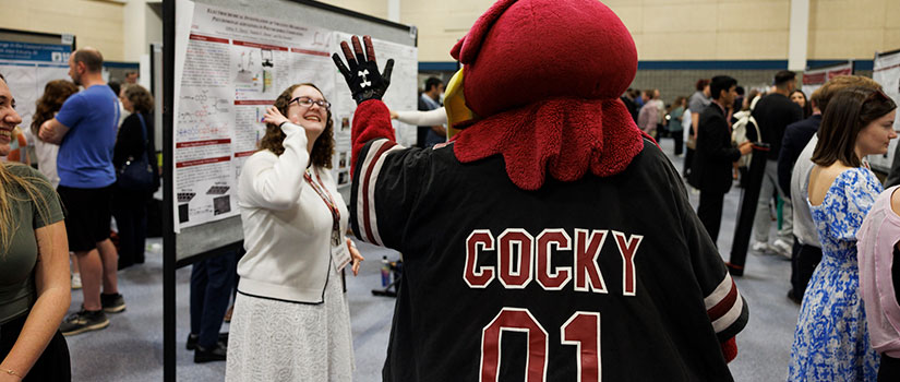 Cocky high-fives a student presenter in front of research posters at Discover USC while attendees circulate through the poster session.