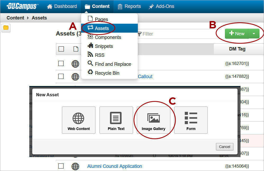 Image Gallery Asset 1