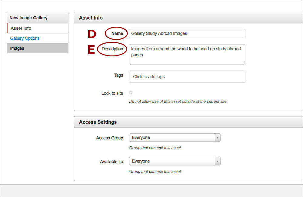 Image Gallery Asset 2