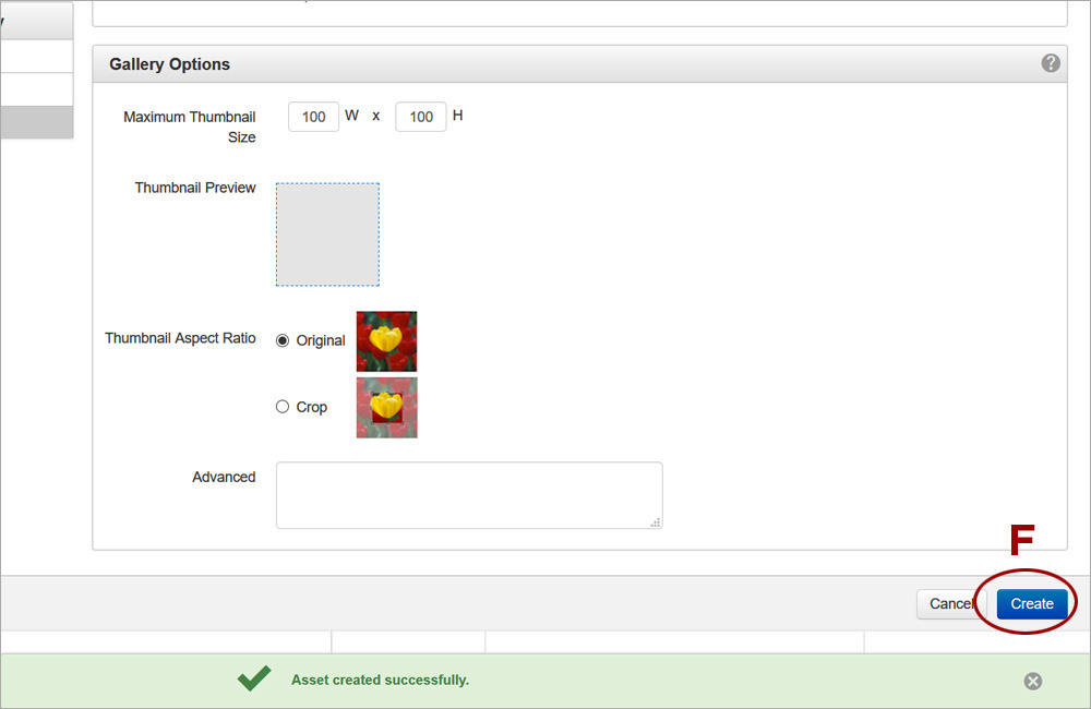 Image Gallery Asset 3