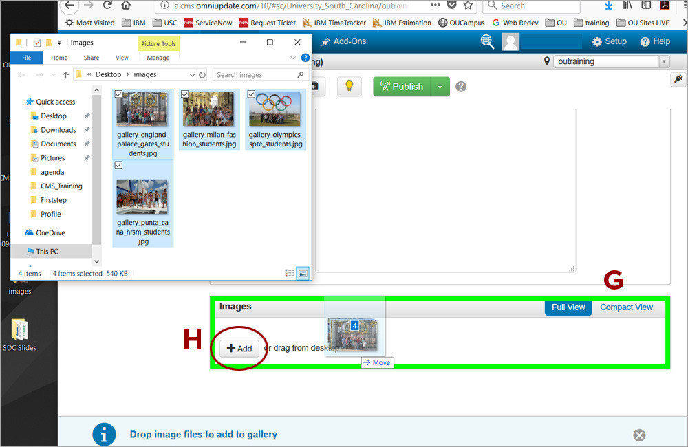 Image Gallery Asset 4