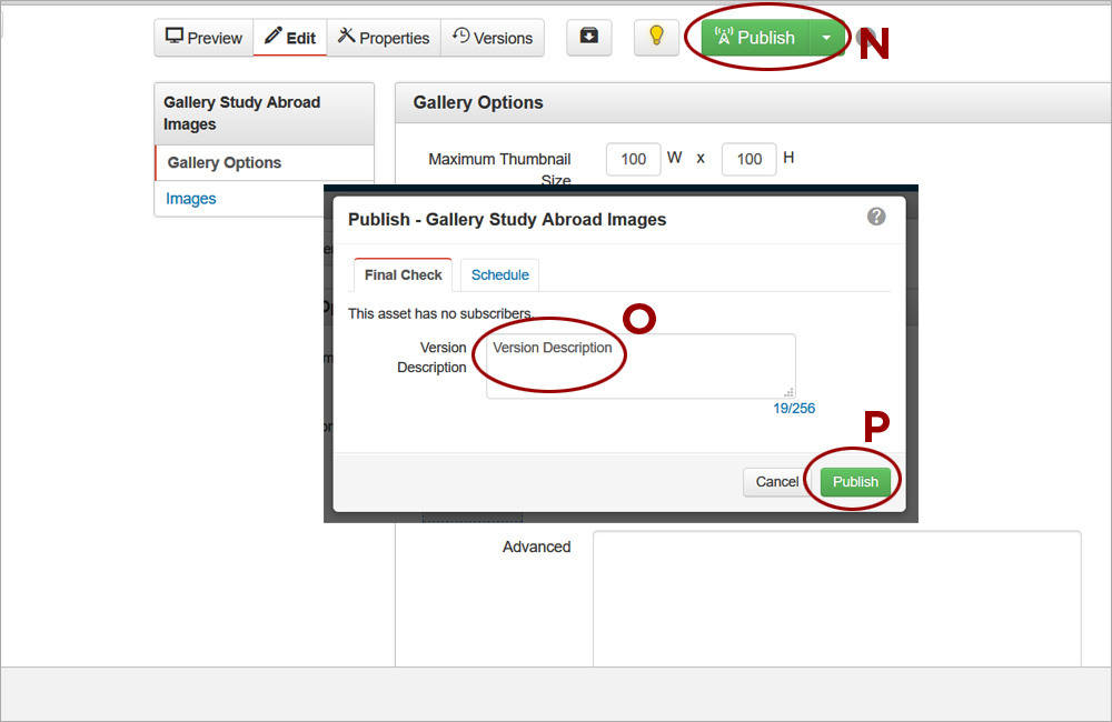 Image Gallery Asset 7