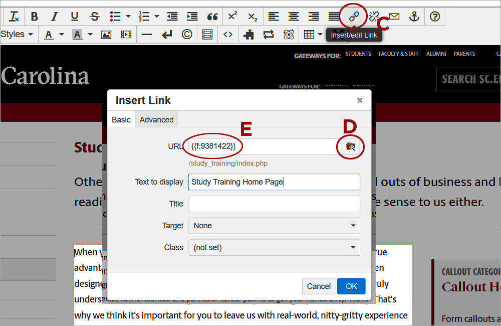 Editing Text and Adding Links 2