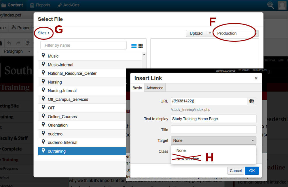 Editing Text and Adding Links 3