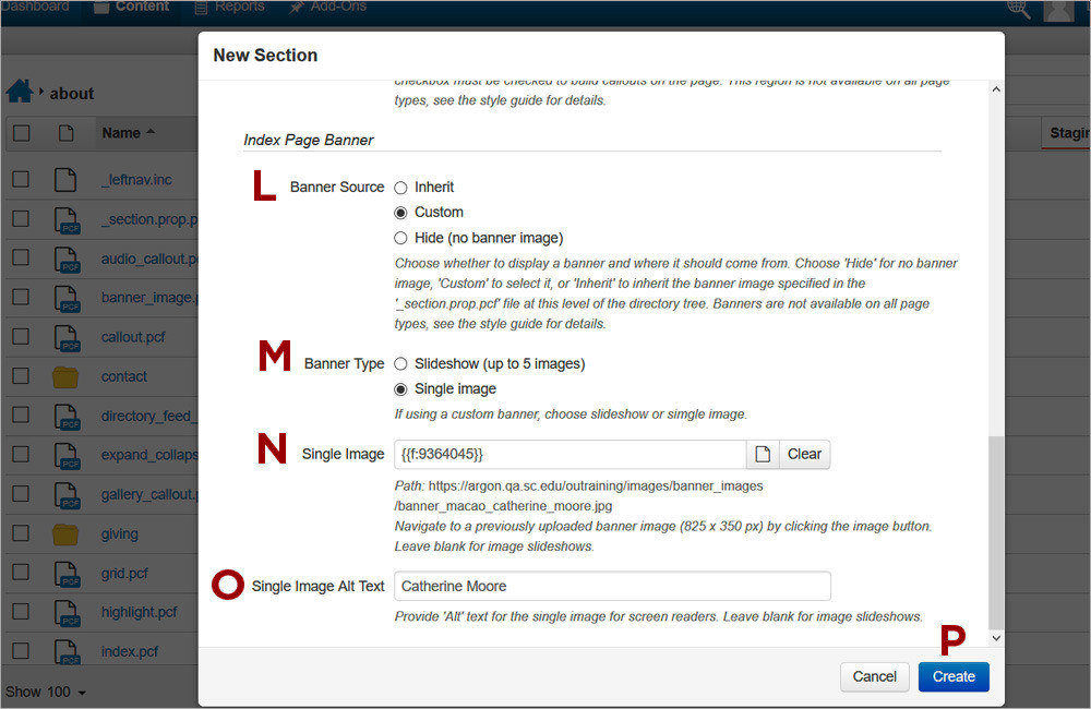 Image Gallery Asset 4