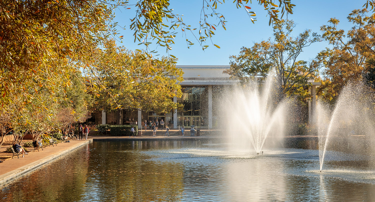 university of south carolina group tours