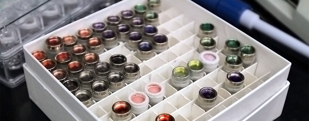 a tray of tubes labeled with different colors