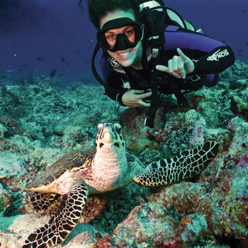 Student scuba diving with a sea turtle.