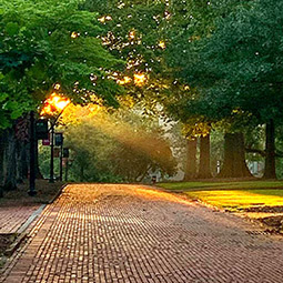Brick path on the horseshoe with sun streaming down through the trees. 