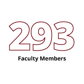 Infographic: 293 Faculty Members