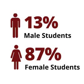 Infographic: 13% male students, 87% female students